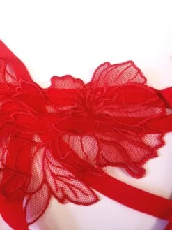 BLUEBELLA Tempest Bra -BLUEBELLA Sales Store 20201015 143550