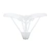 BLUEBELLA Nova Thong (Ivory)