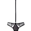 BLUEBELLA Emerson (Black) Lace And Mesh Harness Brief