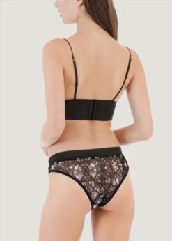 BLUEBELLA Morgan Mesh Brief With Satin Waistband -BLUEBELLA Sales Store 35144.bk bluebella morgan mesh brief satin wasitband black sexy lingerie e