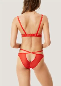 BLUEBELLA Julienne (Red) Bra -BLUEBELLA Sales Store 40608.rd bluebella julienne bra nonpadded red sexy lingerie g