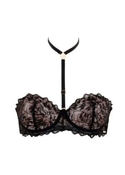 BLUEBELLA Addison (Black) Bra