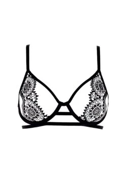 BLUEBELLA Eliana (Black) Bra