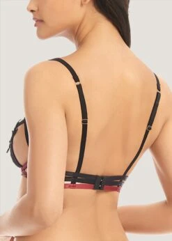BLUEBELLA Dina Bra -BLUEBELLA Sales Store 40894.cdvbk bluebella dina ouvert bra nonpadded underwire cordovan red black sexy lingerie e