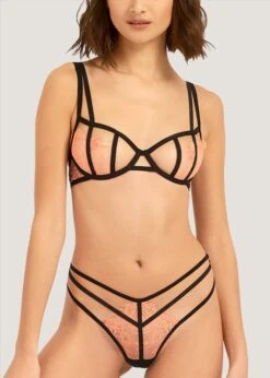 BLUEBELLA Bellana Non Padded Bra -BLUEBELLA Sales Store 40963 bluebella bra underwire non padded terra cotta black pink lace sexy lingerie e