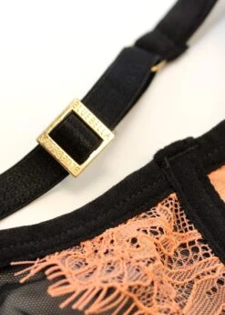 BLUEBELLA Bellana Non Padded Bra -BLUEBELLA Sales Store 40963 bluebella bra underwire non padded terra cotta black pink lace sexy lingerie h