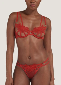BLUEBELLA Tempest Bra -BLUEBELLA Sales Store 44154 bluebella tempest red ouvert open cupless bra sexy lingerie D