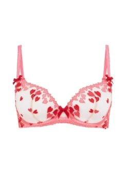AGENT PROVOCATEUR Cupid Bra (Red / Pink)