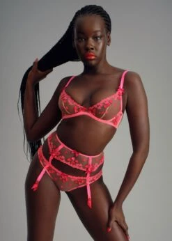 AGENT PROVOCATEUR Cupid Bra (Red / Pink) 8 AGENT PROVOCATEUR Cupid Bra (Red / Pink) -BLUEBELLA Sales Store agent provocateur cupid 1 underwired non padded plunge bra pink sexy luxury lingerie F