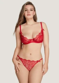 AGENT PROVOCATEUR Lorna Lace Knicker Brief (Red) -BLUEBELLA Sales Store agent provocateur lorna lace red knicker brief panty underwear luxury lingerie D