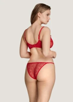 AGENT PROVOCATEUR Lorna Lace Knicker Brief (Red) -BLUEBELLA Sales Store agent provocateur lorna lace red knicker brief panty underwear luxury lingerie E