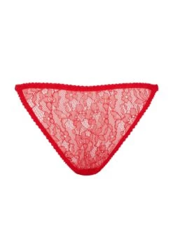 AGENT PROVOCATEUR Lorna Lace Knicker Brief (Red) -BLUEBELLA Sales Store agent provocateur lorna lace red knicker brief panty underwear luxury lingerie F