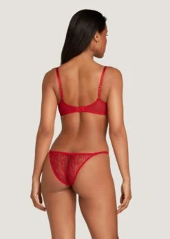 AGENT PROVOCATEUR Lorna Lace Plunge Bra (Red) 8 AGENT PROVOCATEUR Lorna Lace Plunge Bra (Red) -BLUEBELLA Sales Store agent provocateur lorna lace red plunge bra underwired luxury lingerie C