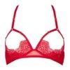 Desire (Rouge) Open Bra