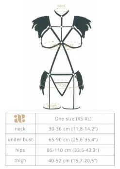 Night Of Revelations Bra And Thong Set -BLUEBELLA Sales Store baed stories lady night of revelations erotic bdsm harness sexy lingerie set black G