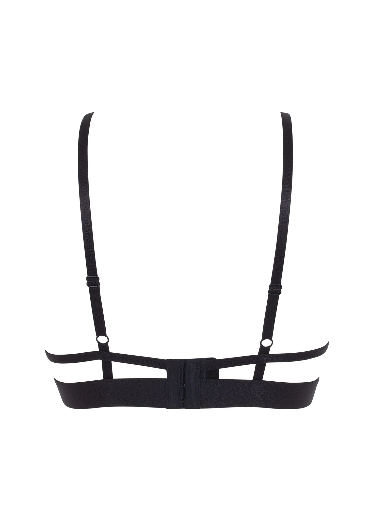 BLUEBELLA Alanna Bra 9 BLUEBELLA Alanna Bra - Image 9