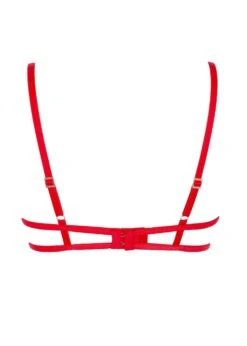 BLUEBELLA Amina (Red) Open Bra -BLUEBELLA Sales Store bluebella amina red cupless open bra underwire embroidery sexy lingerie F