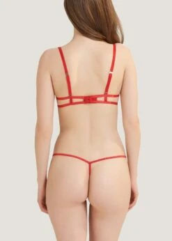 BLUEBELLA Amina (Red) Wired Body -BLUEBELLA Sales Store bluebella amina red embroidery underwire cupless bodysuit sexy lingerie D
