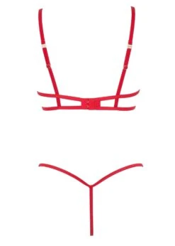 BLUEBELLA Amina (Red) Wired Body -BLUEBELLA Sales Store bluebella amina red embroidery underwire cupless bodysuit sexy lingerie E