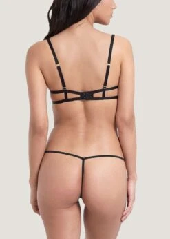 BLUEBELLA Amina (Black) Thong 11 BLUEBELLA Amina (Black) Thong -BLUEBELLA Sales Store bluebella amina thong gstring bottoms black sexy lingerie 41261 E