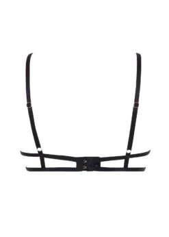 BLUEBELLA Aurora Open Bra (Black/Gold) -BLUEBELLA Sales Store bluebella aurora open bra underwired cupless gold black ultra sexy lingerie H