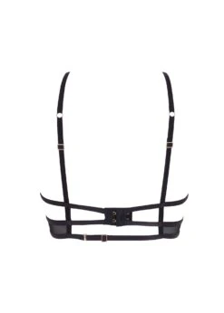 BLUEBELLA Calypso Bra 15 BLUEBELLA Calypso Bra -BLUEBELLA Sales Store bluebella calypso bra black gold see through bra underwired sexy lingerie H