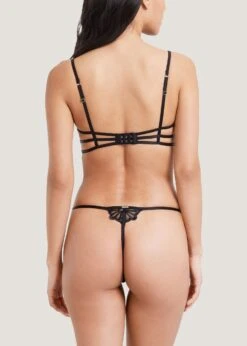 BLUEBELLA Caramella Thong (Black) -BLUEBELLA Sales Store bluebella caramella thong black mesh embroidery no vpl bottoms sexy lingerie E