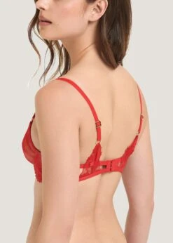 BLUEBELLA Colette Bra (Red) 11 BLUEBELLA Colette Bra (Red) -BLUEBELLA Sales Store bluebella colette bra tomato red underwired non padded embroidery lace sexy lingerie C