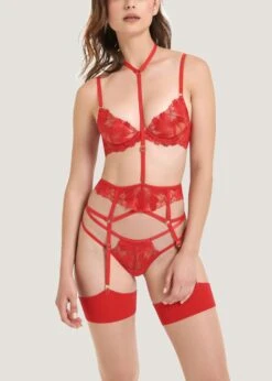 BLUEBELLA Colette Bra (Red) 16 BLUEBELLA Colette Bra (Red) -BLUEBELLA Sales Store bluebella colette bra tomato red underwired non padded embroidery lace sexy lingerie H