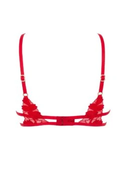 BLUEBELLA Colette Bra (Red) 17 BLUEBELLA Colette Bra (Red) -BLUEBELLA Sales Store bluebella colette bra tomato red underwired non padded embroidery lace sexy lingerie I