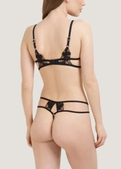 BLUEBELLA Colette Bra -BLUEBELLA Sales Store bluebella colette bra underwire nonpadded black mesh sexy lingerie E