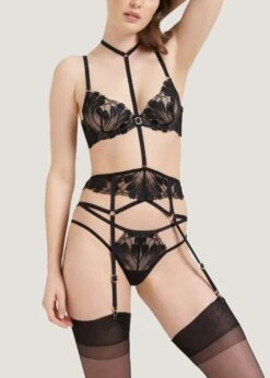 BLUEBELLA Colette Bra -BLUEBELLA Sales Store bluebella colette bra underwire nonpadded black mesh sexy lingerie F