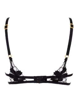 BLUEBELLA Colette Bra -BLUEBELLA Sales Store bluebella colette bra underwire nonpadded black mesh sexy lingerie I