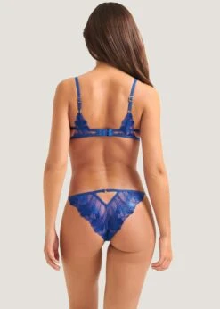 BLUEBELLA Colette Brief (Blue) -BLUEBELLA Sales Store bluebella colette brief blue embroidery sexy underwear lingerie E