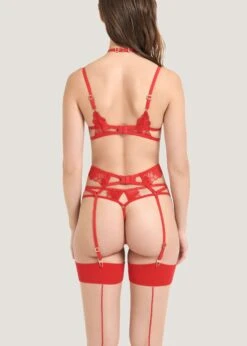 BLUEBELLA Colette Suspender Harness (Red) -BLUEBELLA Sales Store bluebella colette suspender harness tomato red embroidery lace detachable harness sexy lingerie D