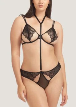 BLUEBELLA Emerson (Black) Lace And Mesh Harness Brief -BLUEBELLA Sales Store bluebella emerson harness brief black lace mesh bottom sexy lingerie E