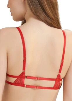 BLUEBELLA Enya Bra -BLUEBELLA Sales Store bluebella enya red embroidery mesh underwire bra sexy lingerie C