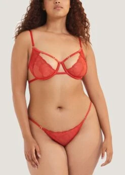 BLUEBELLA Enya Bra -BLUEBELLA Sales Store bluebella enya red embroidery mesh underwire bra sexy lingerie F
