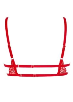 BLUEBELLA Enya Bra -BLUEBELLA Sales Store bluebella enya red embroidery mesh underwire bra sexy lingerie G