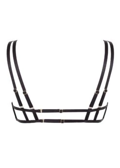 BLUEBELLA Harley Bra 11 BLUEBELLA Harley Bra -BLUEBELLA Sales Store bluebella harley open bra black sexy lingerie F