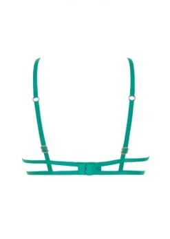 BLUEBELLA Isadora Bra (Columbia Green) -BLUEBELLA Sales Store bluebella isadora bra columbia green underwired non padded lace embroidery sexy lingerie H