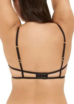 BLUEBELLA Isadora Bra -BLUEBELLA Sales Store bluebella isadora bra non padded underwired lace mesh sexy lingerie C