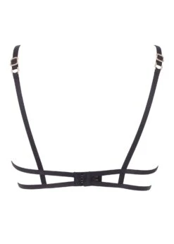 BLUEBELLA Isadora Bra -BLUEBELLA Sales Store bluebella isadora bra non padded underwired lace mesh sexy lingerie G