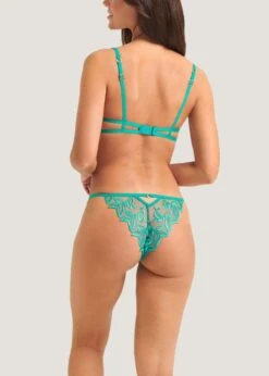 BLUEBELLA Isadora Brief (Columbia Green) -BLUEBELLA Sales Store bluebella isadora brief columbia green lace embroidery sexy lingerie E