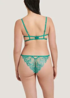 BLUEBELLA Isadora Brief (Columbia Green) -BLUEBELLA Sales Store bluebella isadora brief columbia green lace embroidery sexy lingerie G