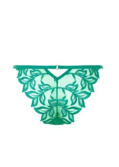 BLUEBELLA Isadora Brief (Columbia Green) -BLUEBELLA Sales Store bluebella isadora brief columbia green lace embroidery sexy lingerie H
