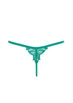 BLUEBELLA Isadora Thong (Columbia Green) 15 BLUEBELLA Isadora Thong (Columbia Green) -BLUEBELLA Sales Store bluebella isadora thong columbia green lace embroidery sexy lingerie H