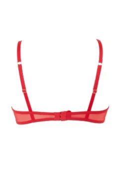 BLUEBELLA Marseille Bra (Red) -BLUEBELLA Sales Store bluebella marseille bra tomato red underwired non padded lace embroidery sexy lingerie H