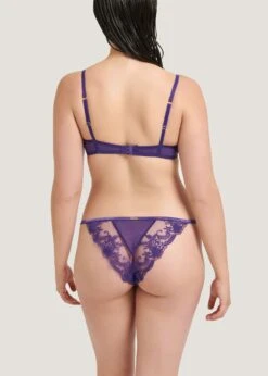 BLUEBELLA Marseille Brief (Heliotrope Purple) -BLUEBELLA Sales Store bluebella marseille brief purple lace mesh underwear sexy lingerie G