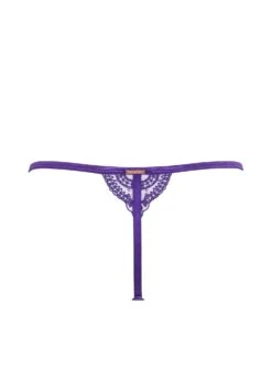 BLUEBELLA Marseille Thong (Heliotrope Purple) -BLUEBELLA Sales Store bluebella marseille thong purple lace mesh underwear sexy lingerie I